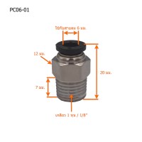 PC06-01 วัดไซต์ 